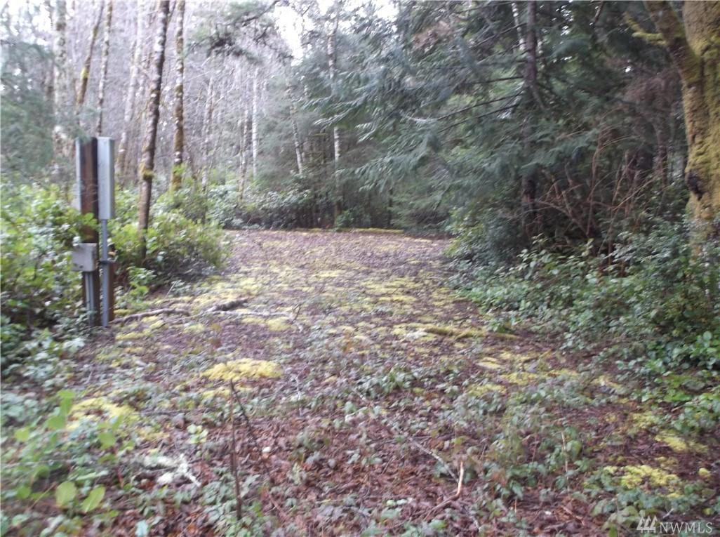 22106 Birch Place - Photo 1