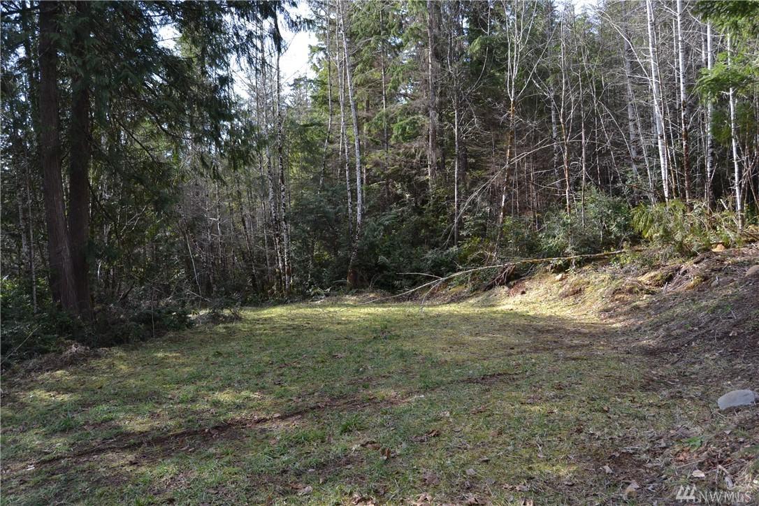 0 Xxxx Rustic Ridge Dr - Photo 1