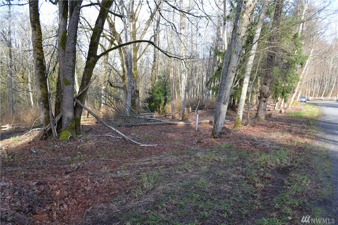 0 Lake Sixteen Road - Photo 1
