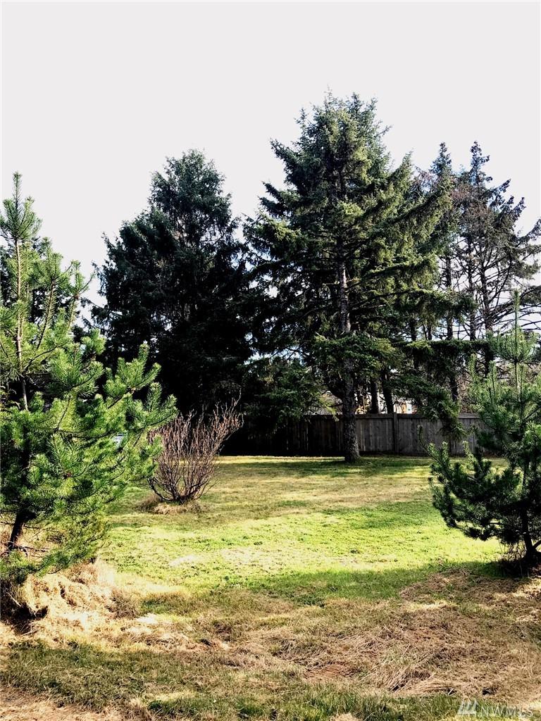 813 Salmonberry Lane - Photo 1