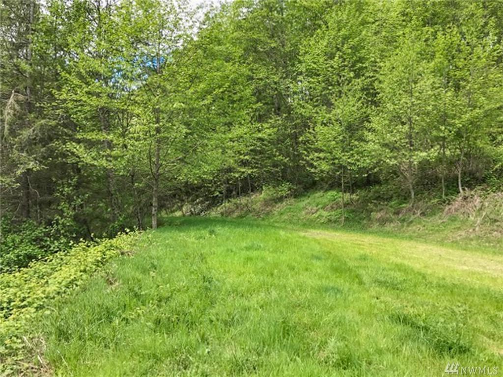 260 Bald Eagle Rd - Photo 1