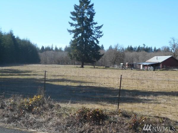 83 Satsop Rd Rd - Photo 1