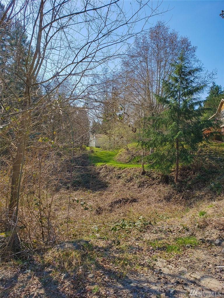 0-XX Forest Dr - Photo 1