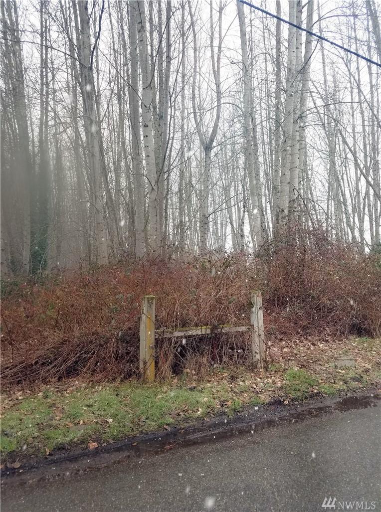 0 78th Ave - Photo 1