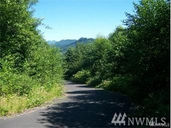 281 Bald Eagle Rd - Photo 1