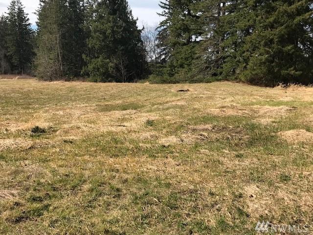 43-xx Dewey Rd - Photo 1