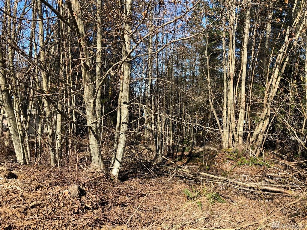9999 Island Vista Wy - Photo 1