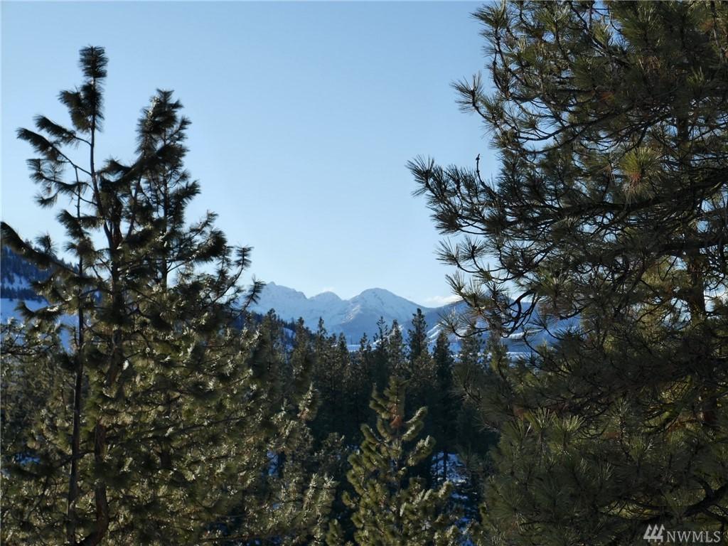 24 Palomino Road - Photo 1