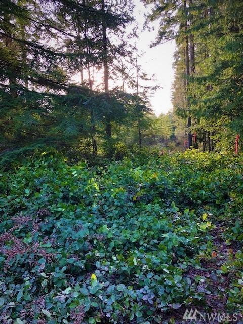 0 Place Rd - Photo 1