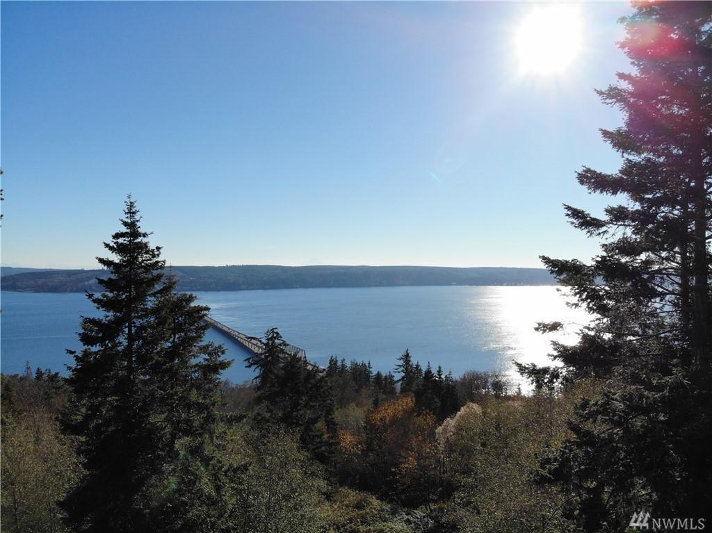 0-Lot10 Bridge View Place - Photo 1