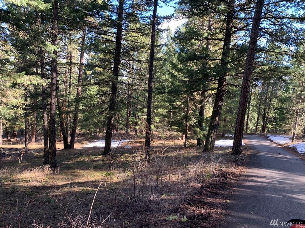 0-Lot 1 Lower Peoh Point Rd - Photo 1