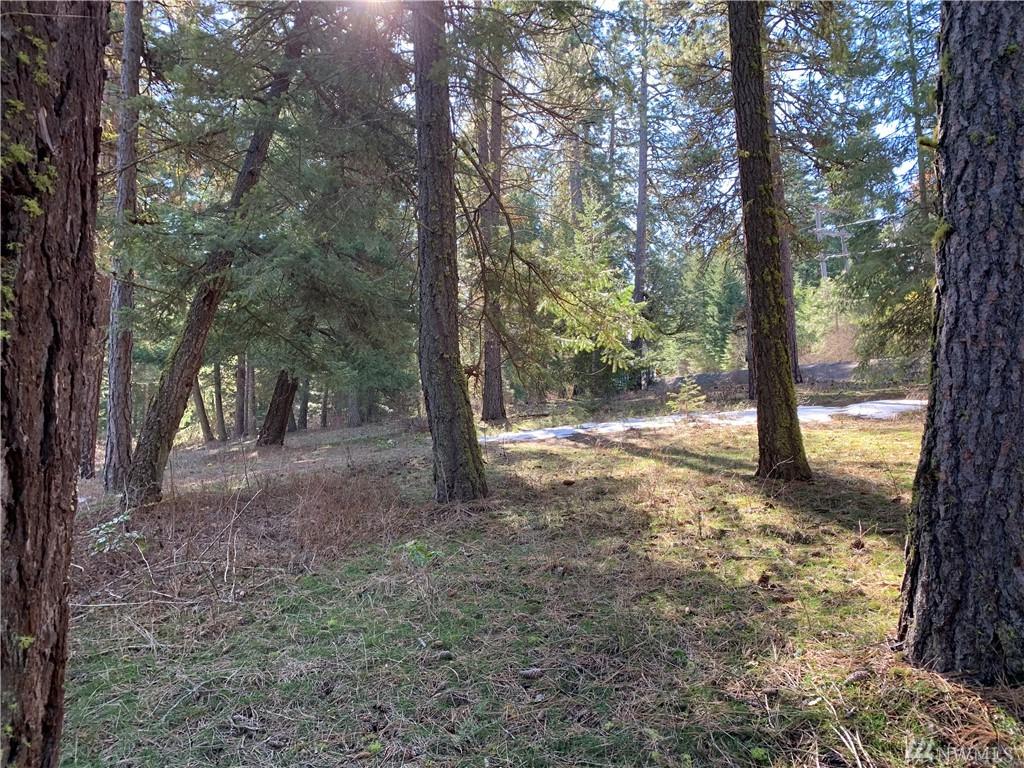 0-Lot 4 Lower Peoh Point Rd - Photo 1