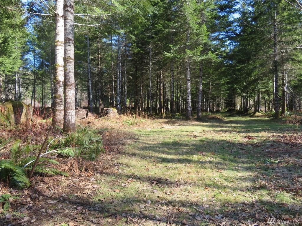 873 Boundary Rd - Photo 1