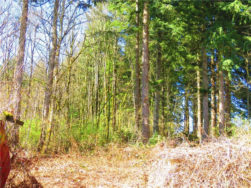 17710 Clover Rd - Photo 1