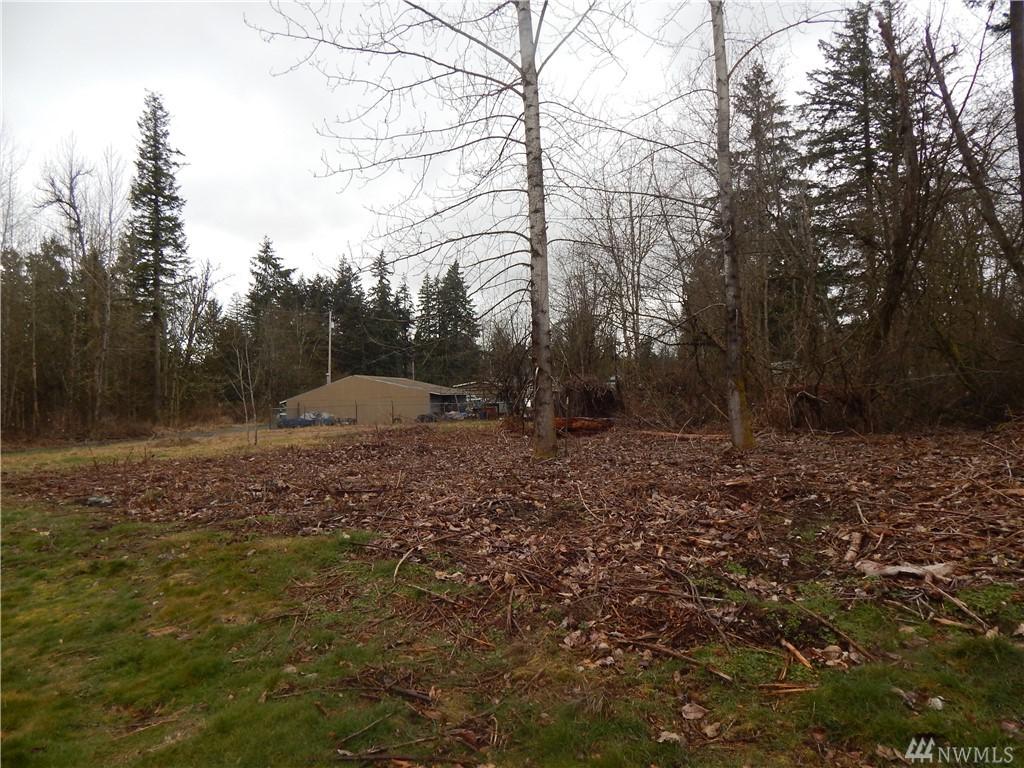 0 362nd St - Photo 1