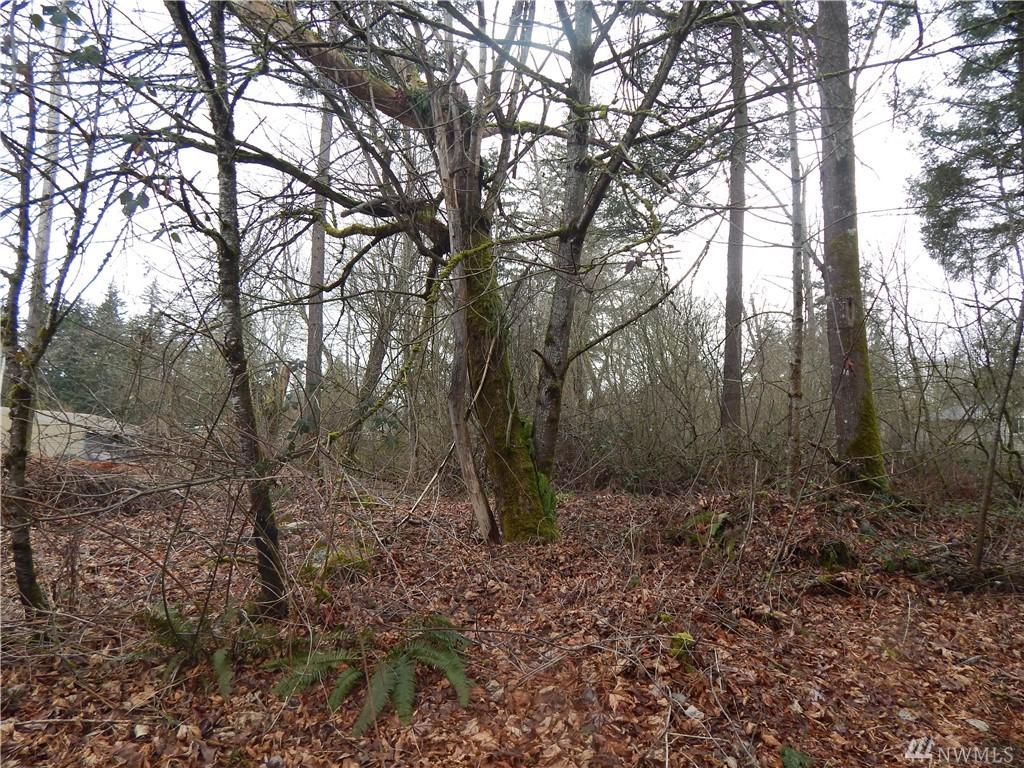 0 49th Ave - Photo 1