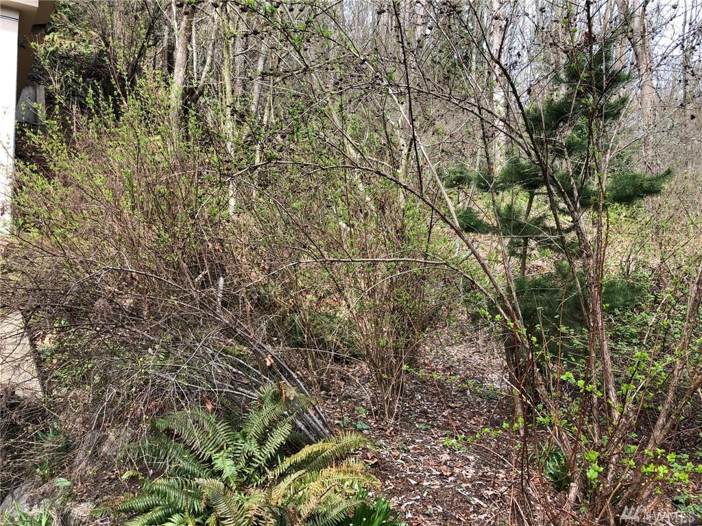 501 33rd Ave - Photo 1