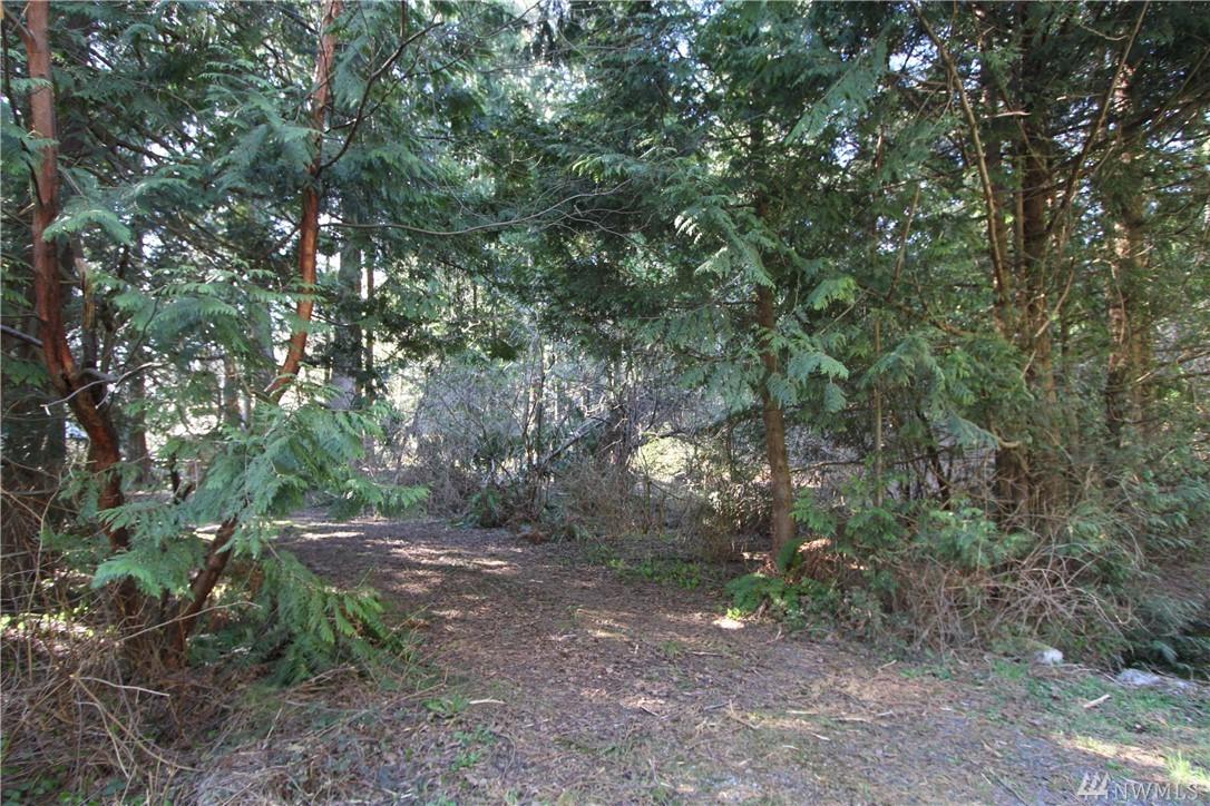 273-(14-16) Windsor Dr - Photo 1