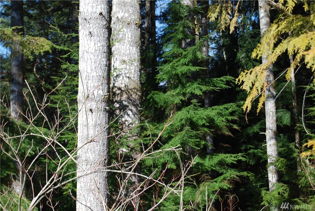 0 Woods Creek Rd - Photo 1