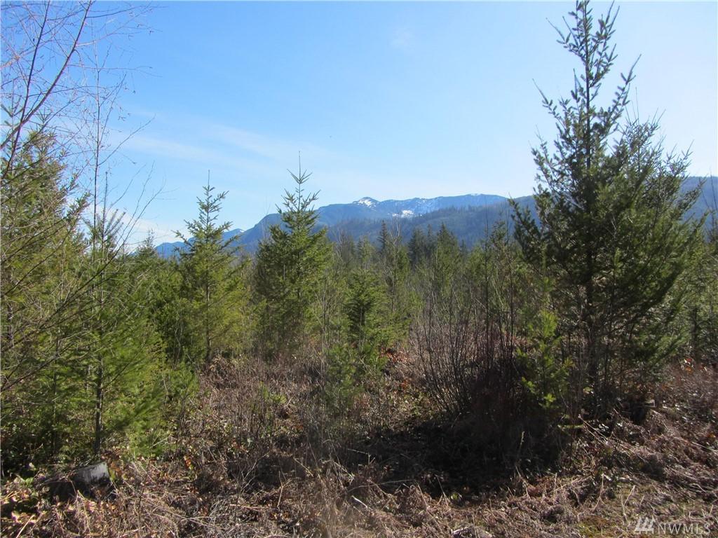 9254 Heady Rd - Photo 1