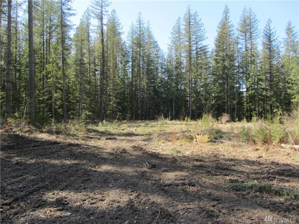 6485 South Pass Rd - Photo 1