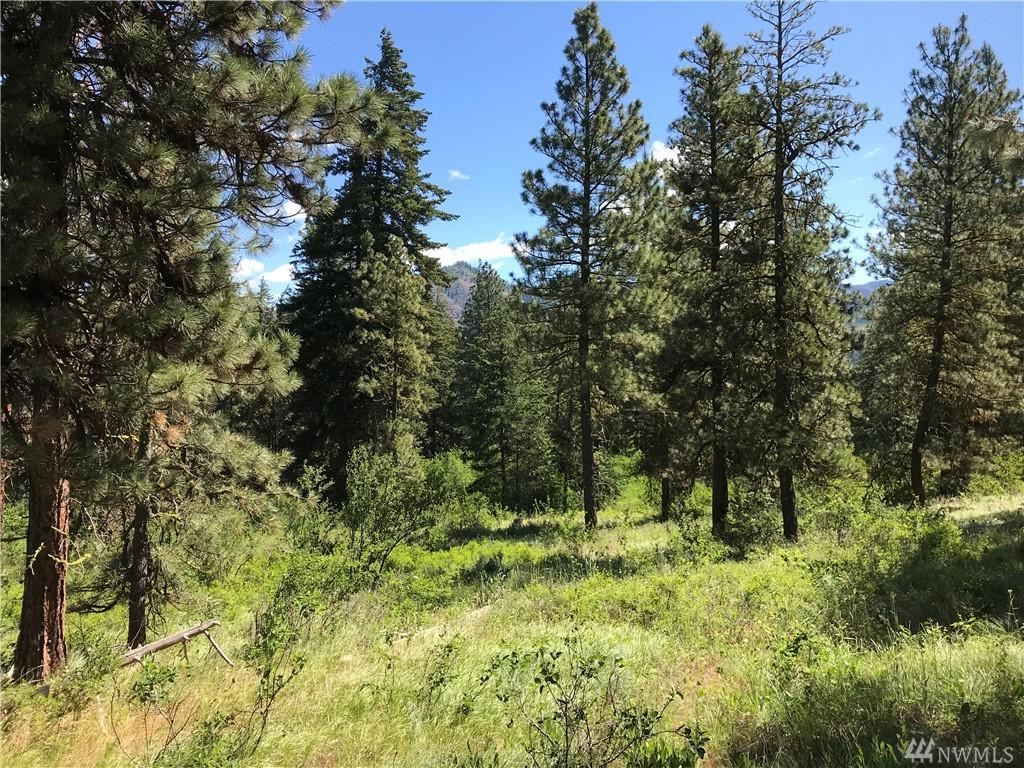 0-Lot 5&6 Mountain Creek Dr - Photo 1
