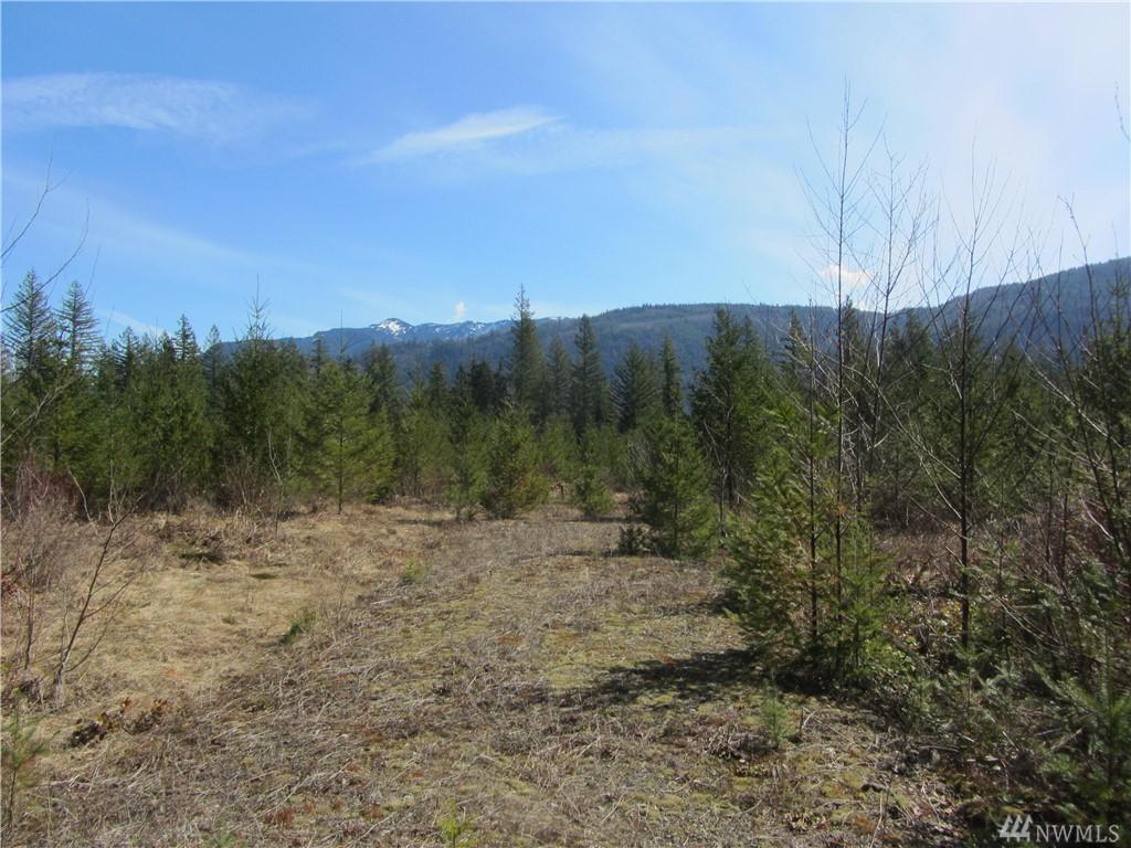 9126 Heady Rd - Photo 1