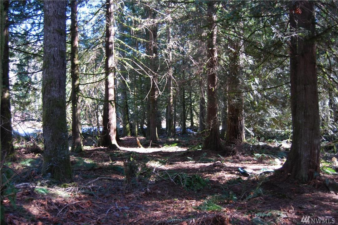 0 Old Pipeline Rd - Photo 1