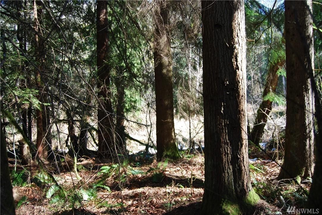 0 Section 14 - Photo 1