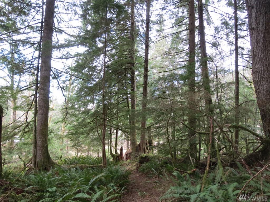 106 Wapati Rd - Photo 1