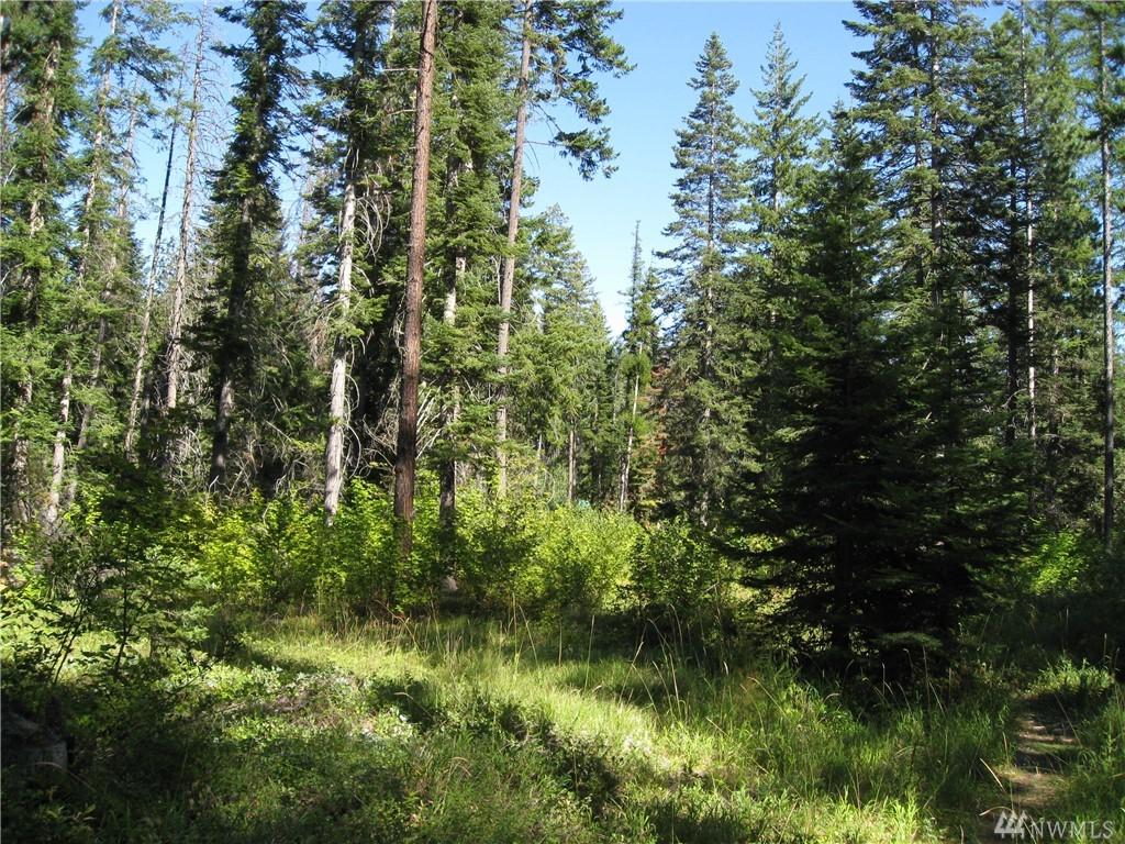10091 Westside Rd - Photo 1