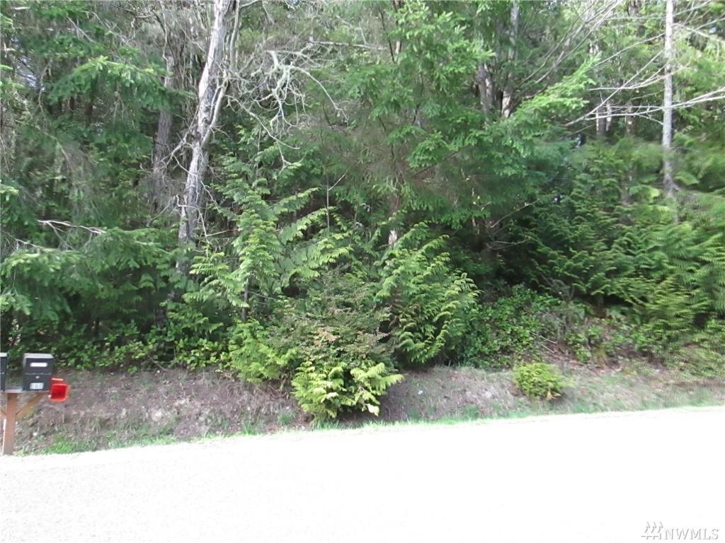 0-Lot 29 Rainier Lane - Photo 1