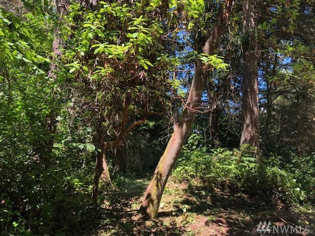 94-XX 275th St - Photo 1