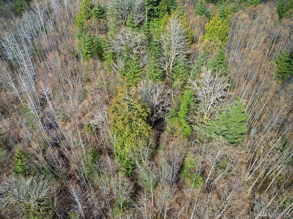 162-XX 30th Ave - Photo 1