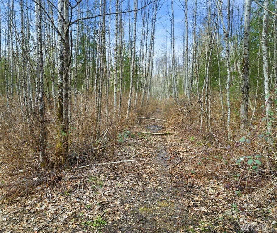 162-XY 30th Ave - Photo 1