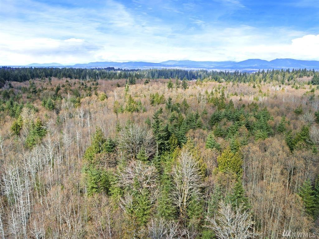 162-XZ 30th Ave - Photo 1