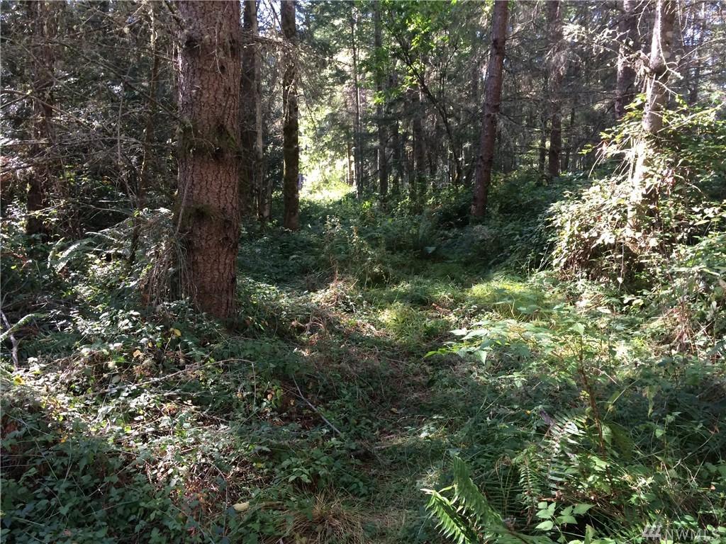 0 Evergreen Lane - Photo 1