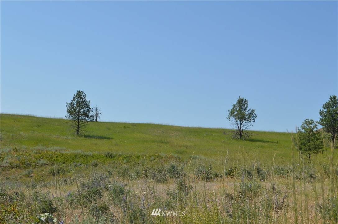 0 Chiliwist Road - Photo 1