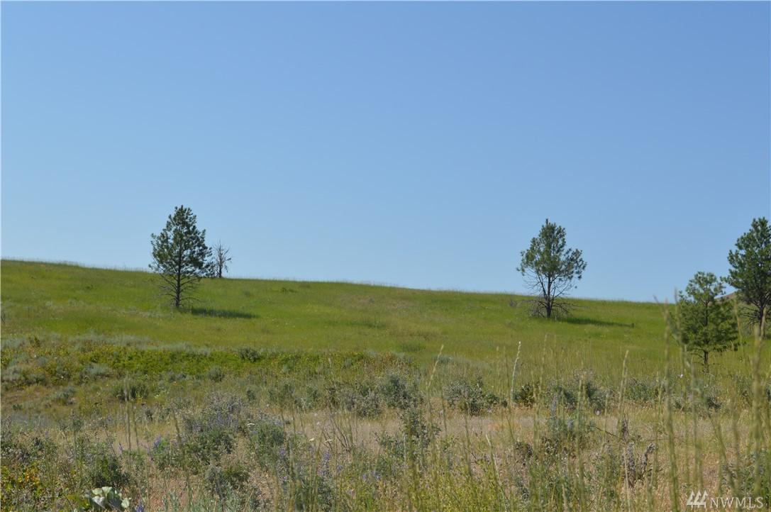 0-TBD Chiliwist Rd - Photo 1