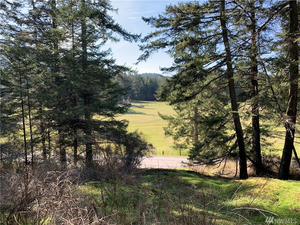 0 Crow Valley Rd - Photo 1