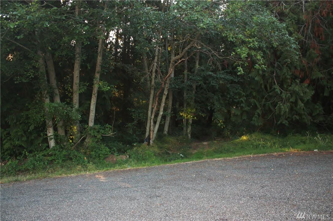 0-XXX Halsey Dr - Photo 1
