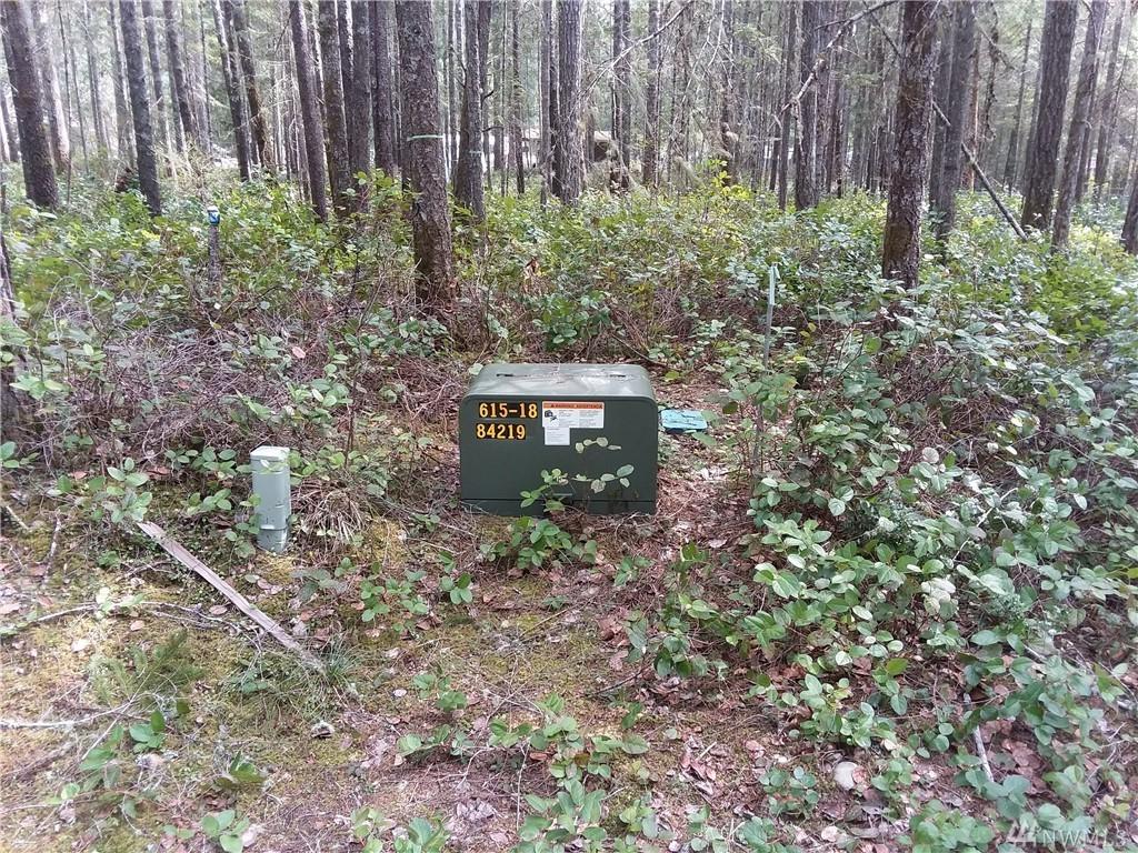 61 Fircrest Place - Photo 1