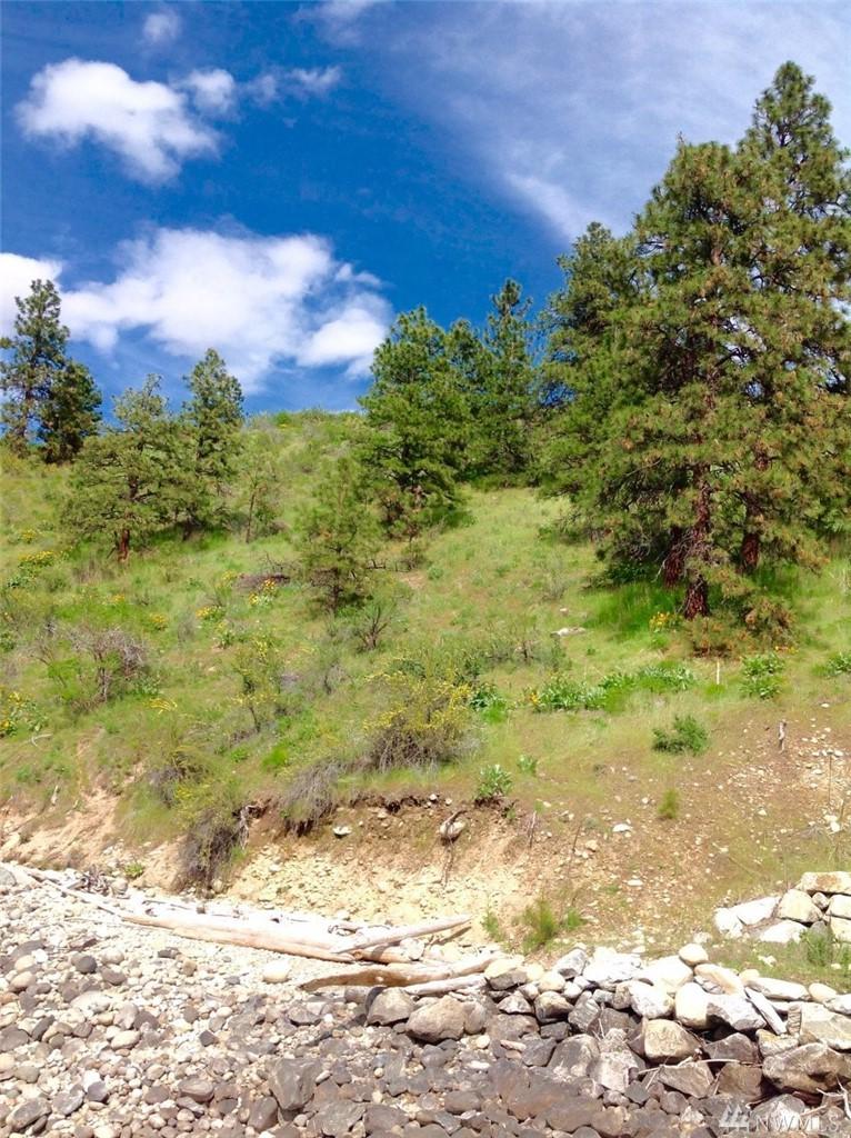 0-Lot 549 Chelan Blvd - Photo 1