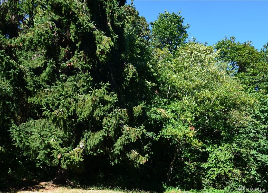 6-xx Probert Rd - Photo 1
