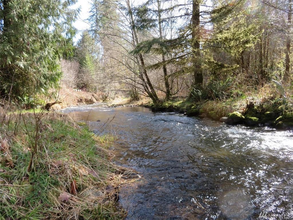0-Lot 1 Coal Creek Rd - Photo 1