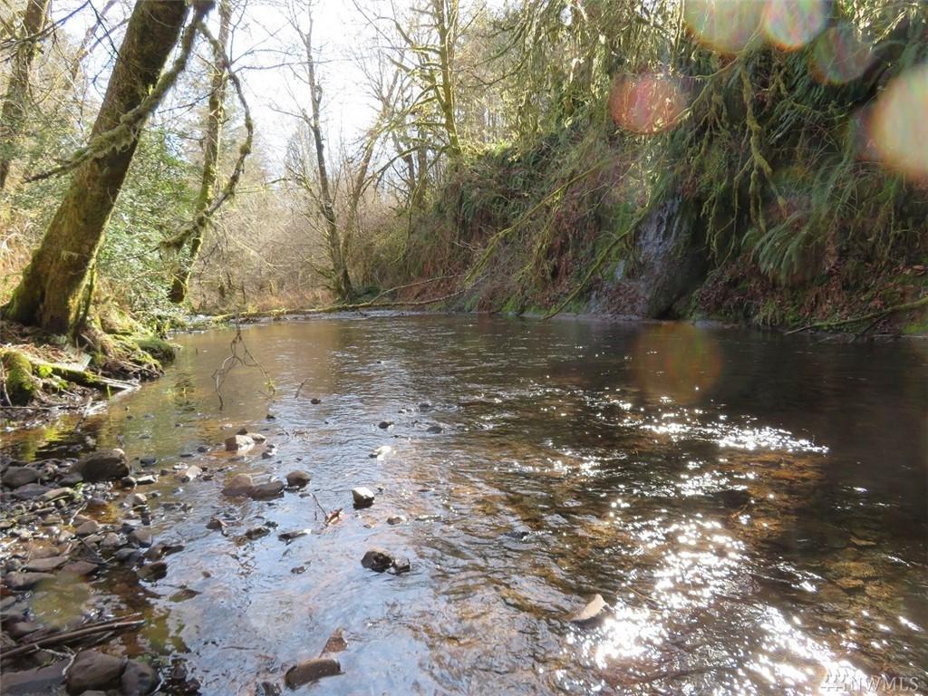 0-Lot 3 Coal Creek Rd - Photo 1