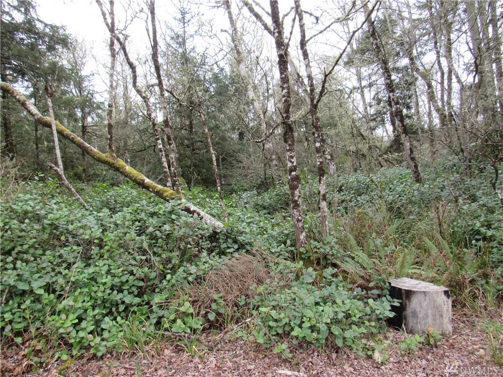 658 Sea Mast Ct - Photo 1
