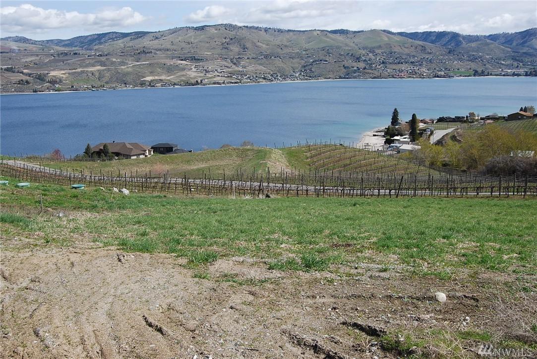 143 Clos Chevalle Rd - Photo 1