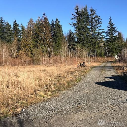 4858 Lilly Lane - Photo 1