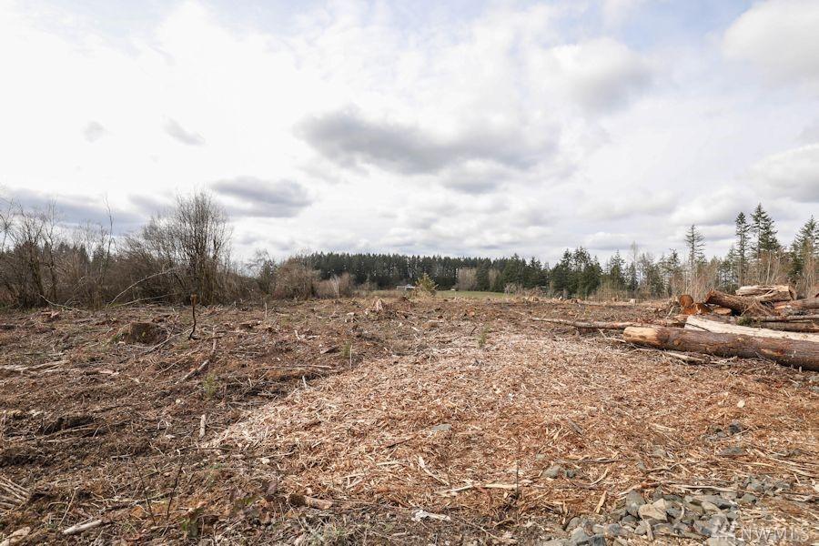 0-Tract 2 Bremgartner Rd - Photo 1